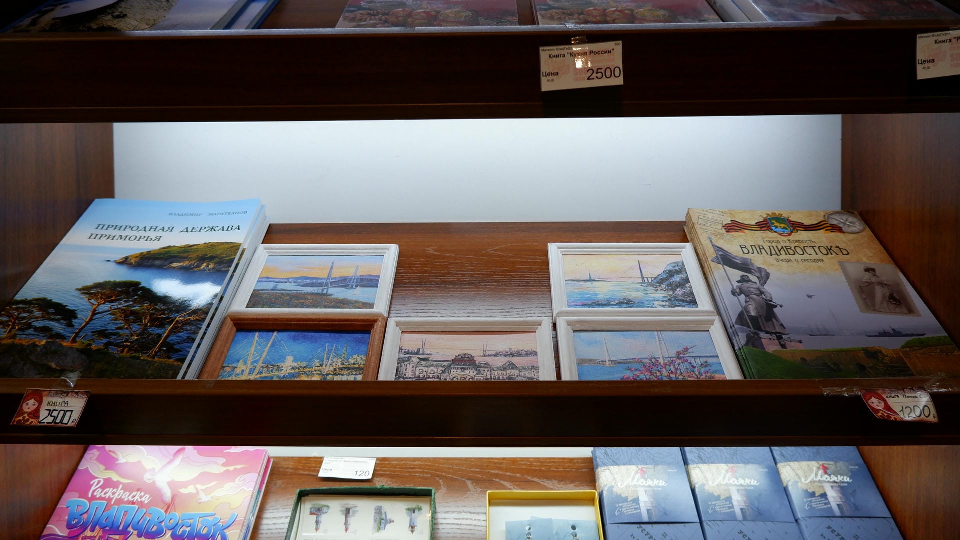 Bookshelves hold multiple books and photo frames related to landscapes and history.