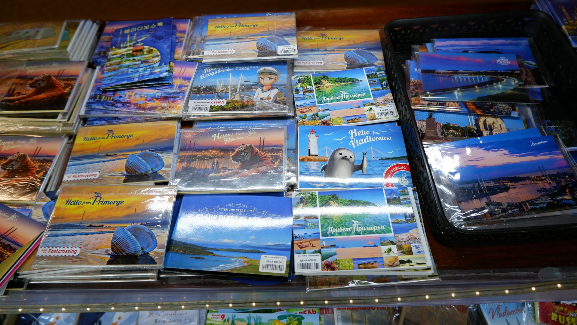 A photo showcasing various postcards featuring seals, lighthouses, and cityscapes.
