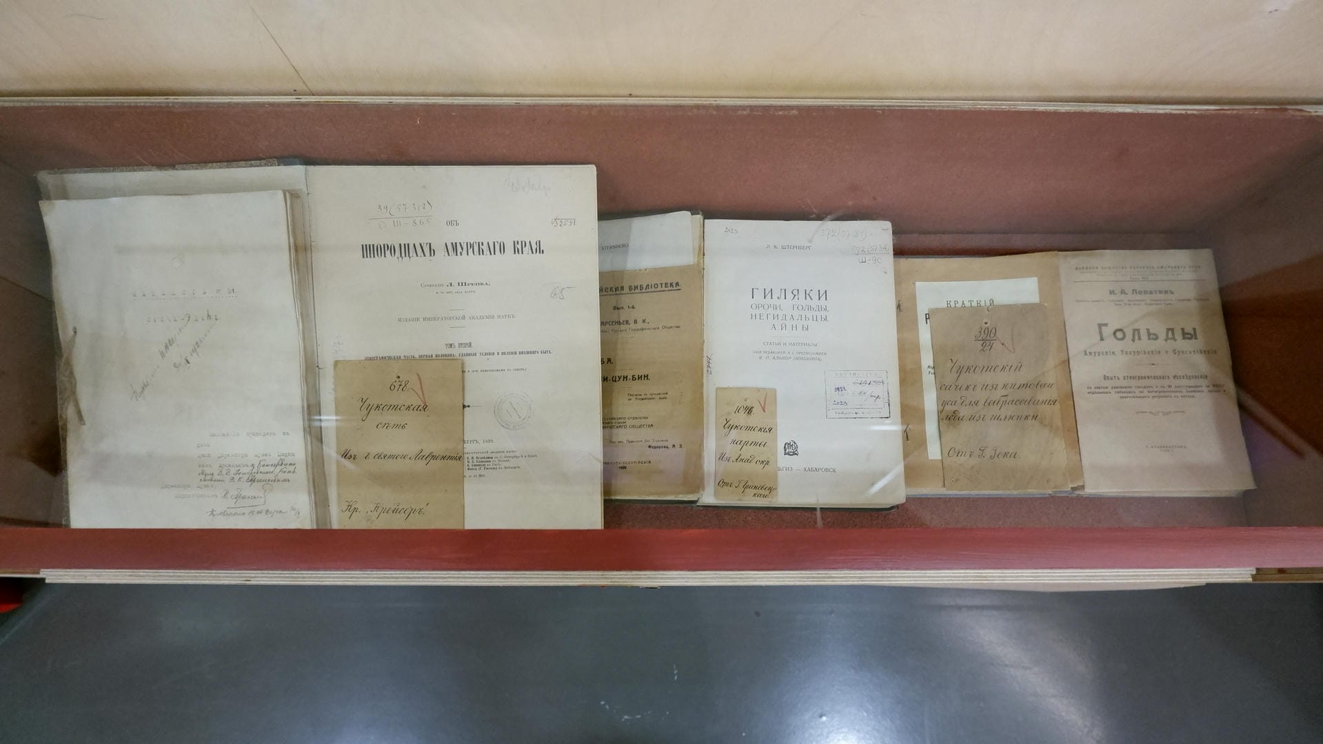 Bookshelves hold several old books with slightly yellowed covers.