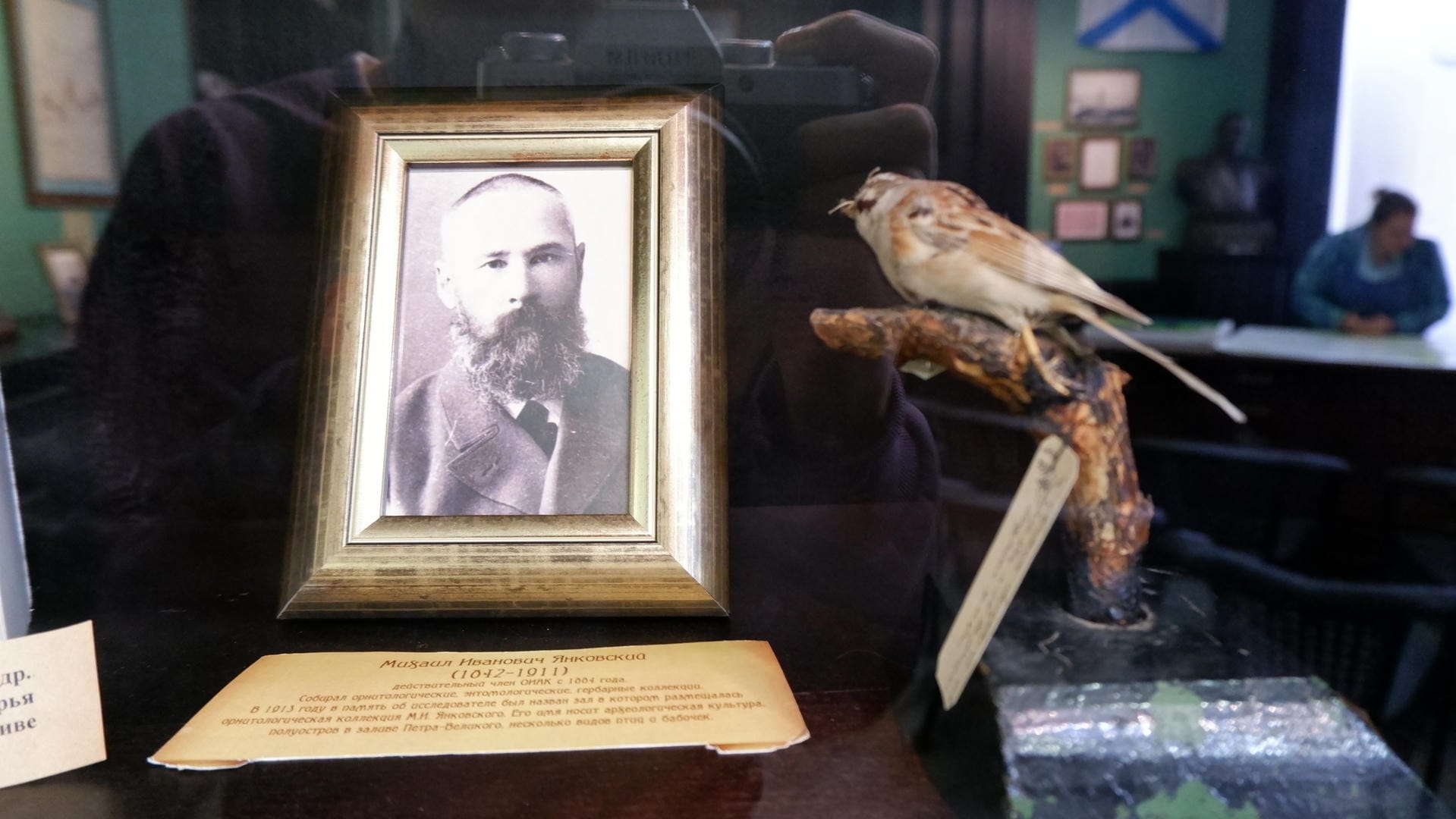 A black-and-white photograph, a taxidermied bird, and some text descriptions displayed in a glass cabinet.