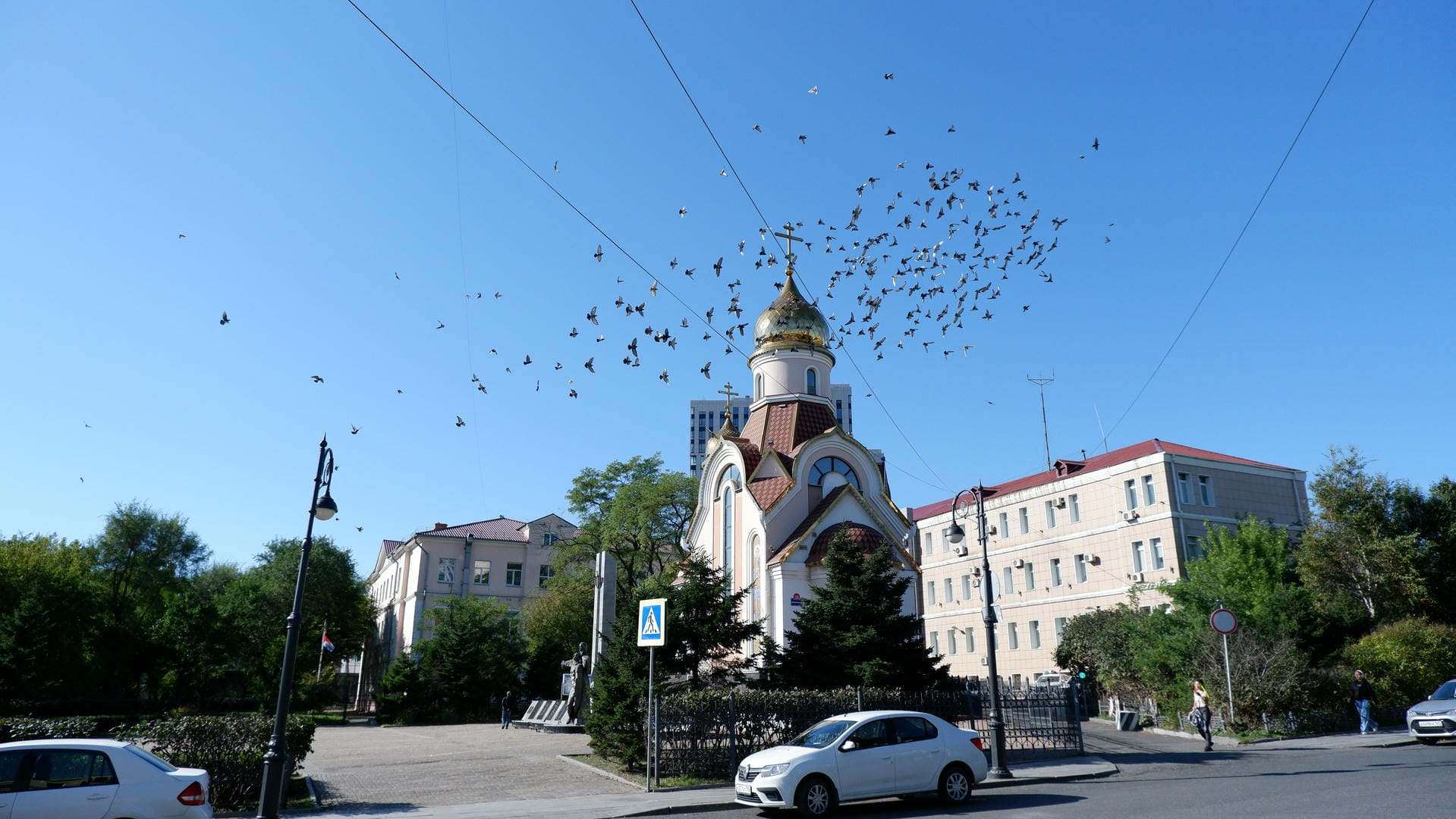 A church with a golden dome, surrounded by many flying birds, with cars and pedestrians in the foreground.