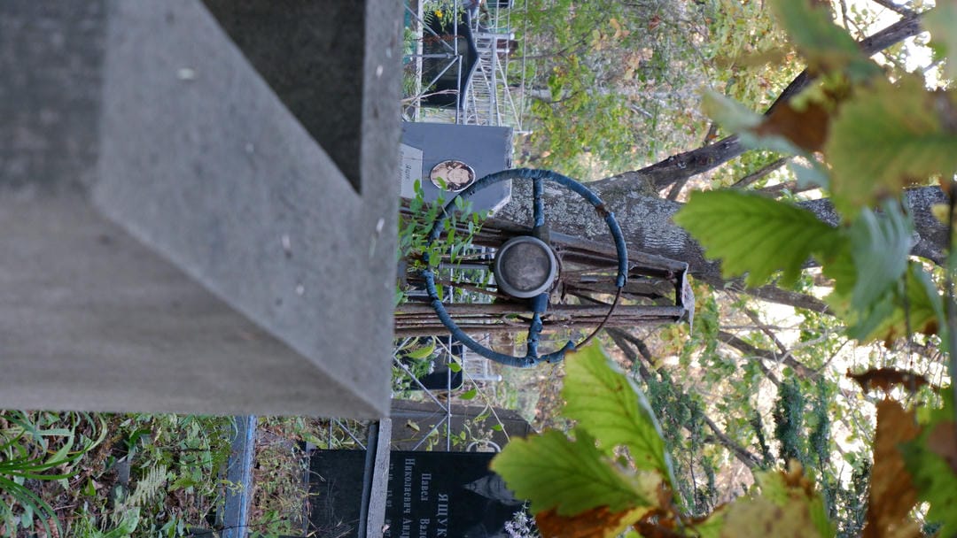 A metal decorative object shaped like a steering wheel hanging on a tree trunk, surrounded by dense foliage.