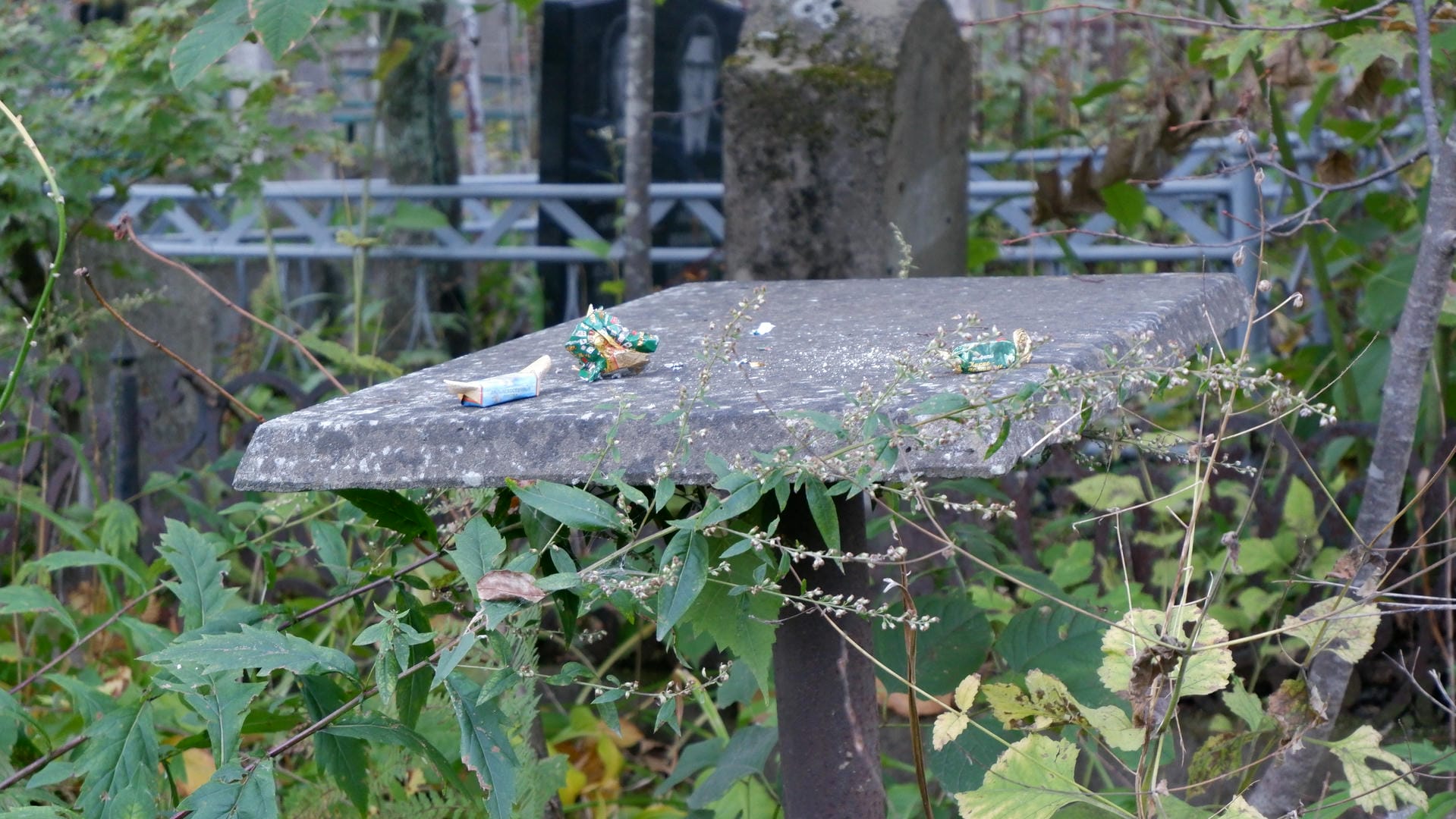 A tilted cement platform scattered with trash, surrounded by overgrown weeds.