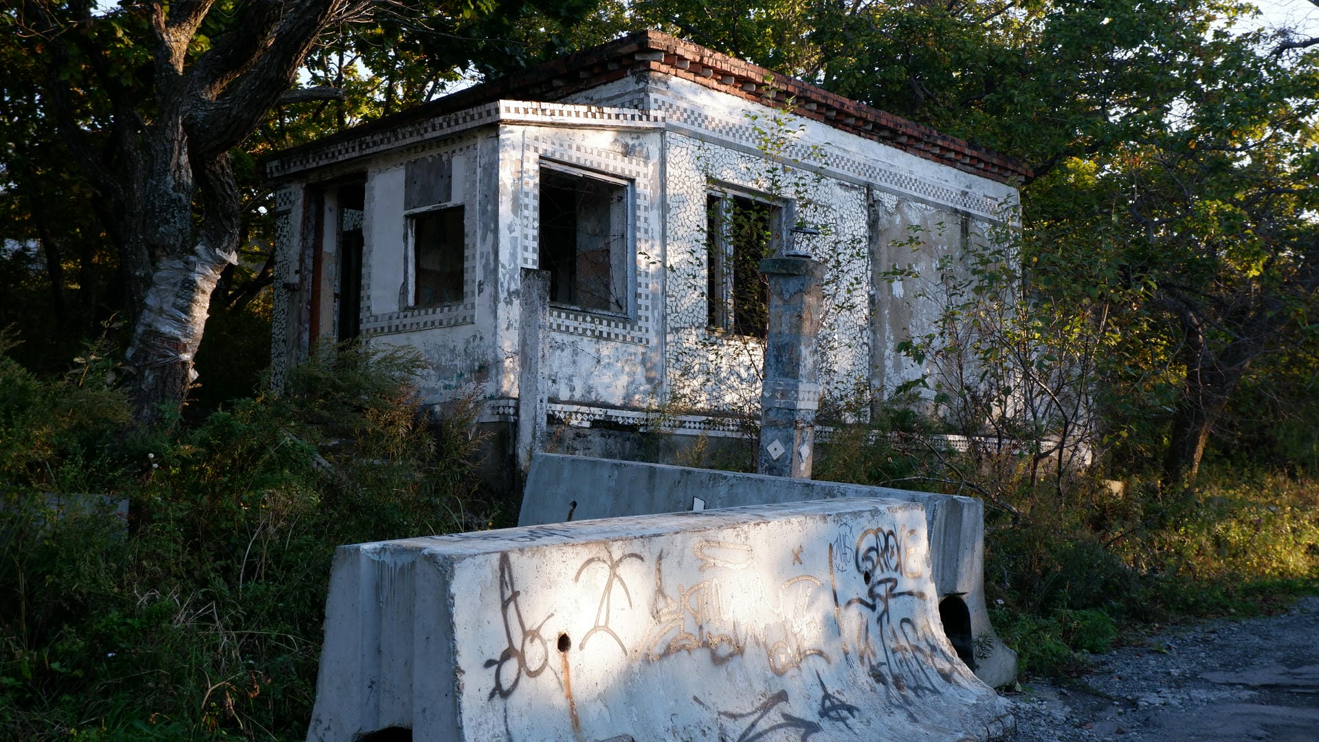 The abandoned building’s exterior wall has graffiti, surrounded by overgrown weeds.