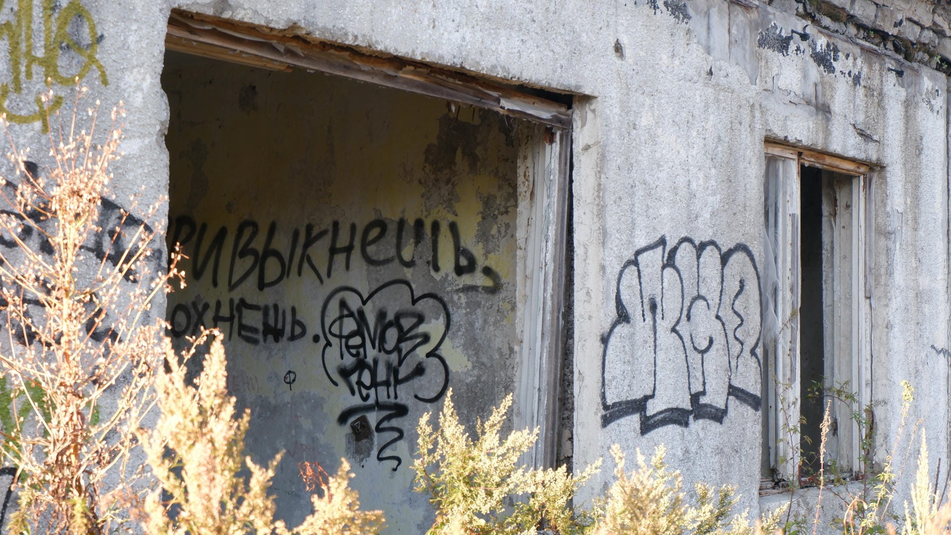 The abandoned building’s exterior wall has black graffiti, with plants growing at the entrance.