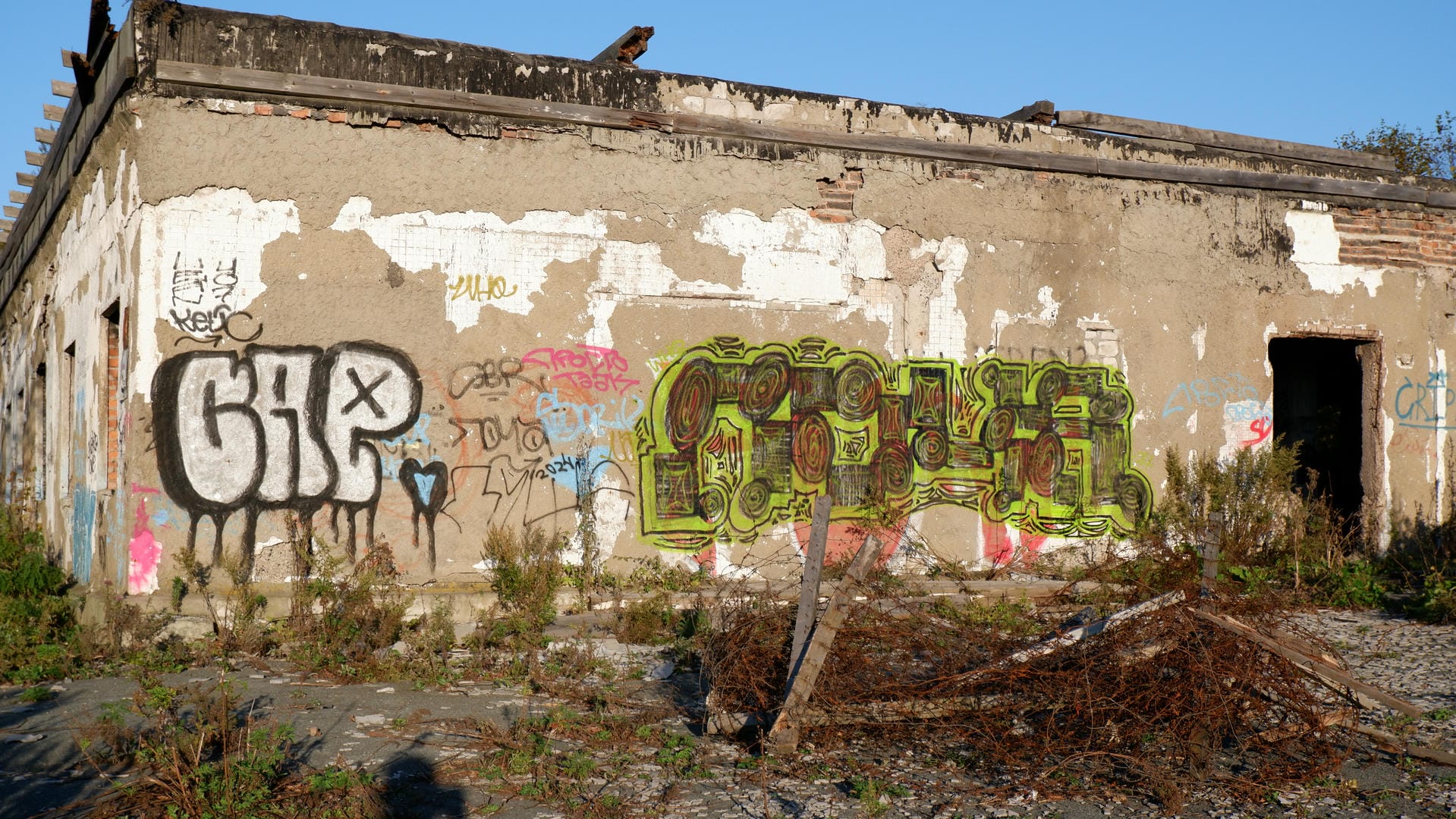 The abandoned building’s exterior wall has green graffiti, surrounded by overgrown weeds.