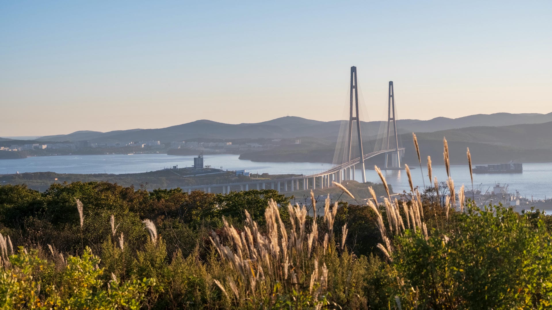 A large bridge spans the water, connecting both banks. The foreground features green vegetation and tall reeds, with mountains and buildings in the distance.