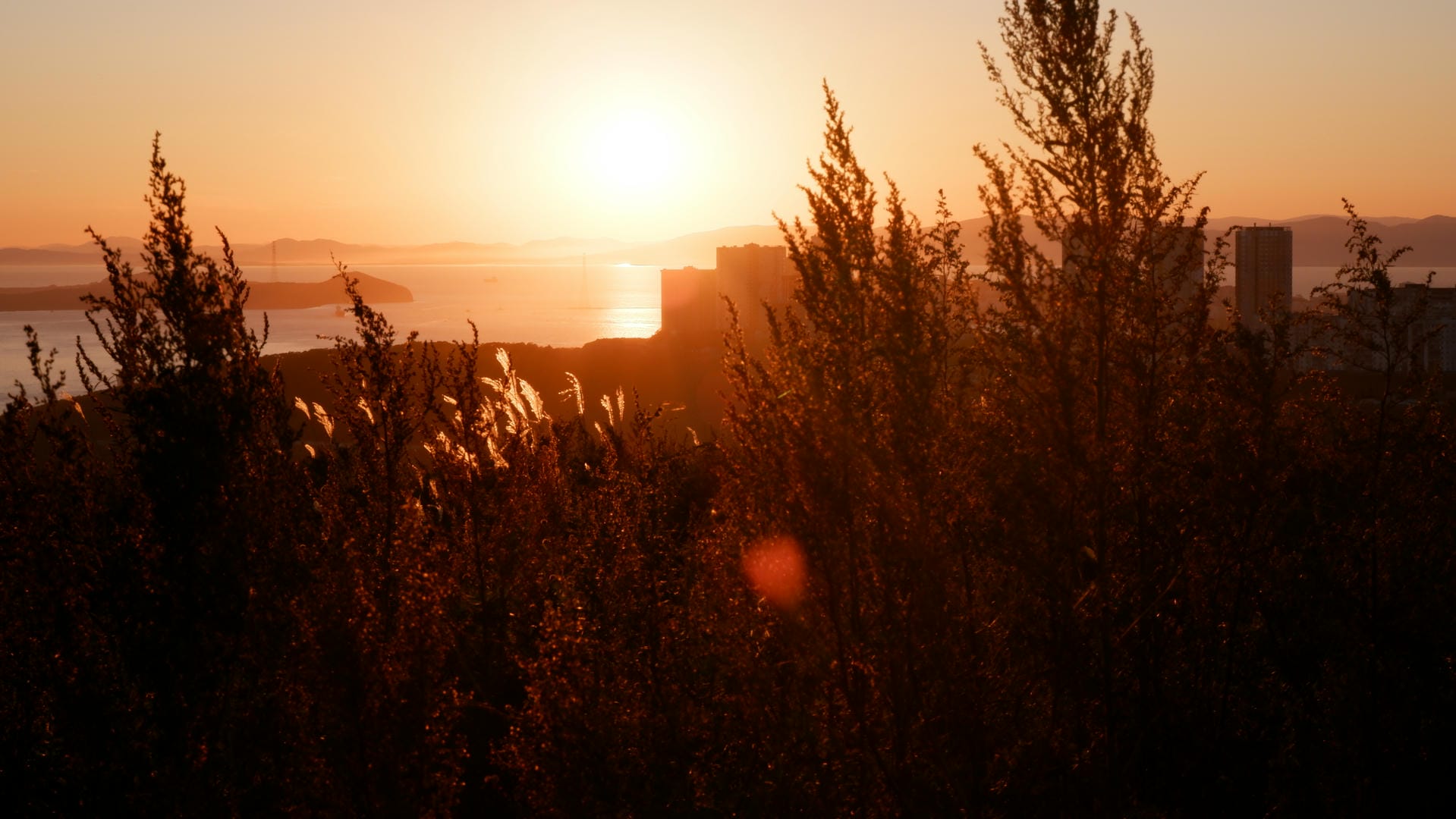As the sun sets, sunlight filters through the trees onto the ground, with buildings and mountains in the distance.