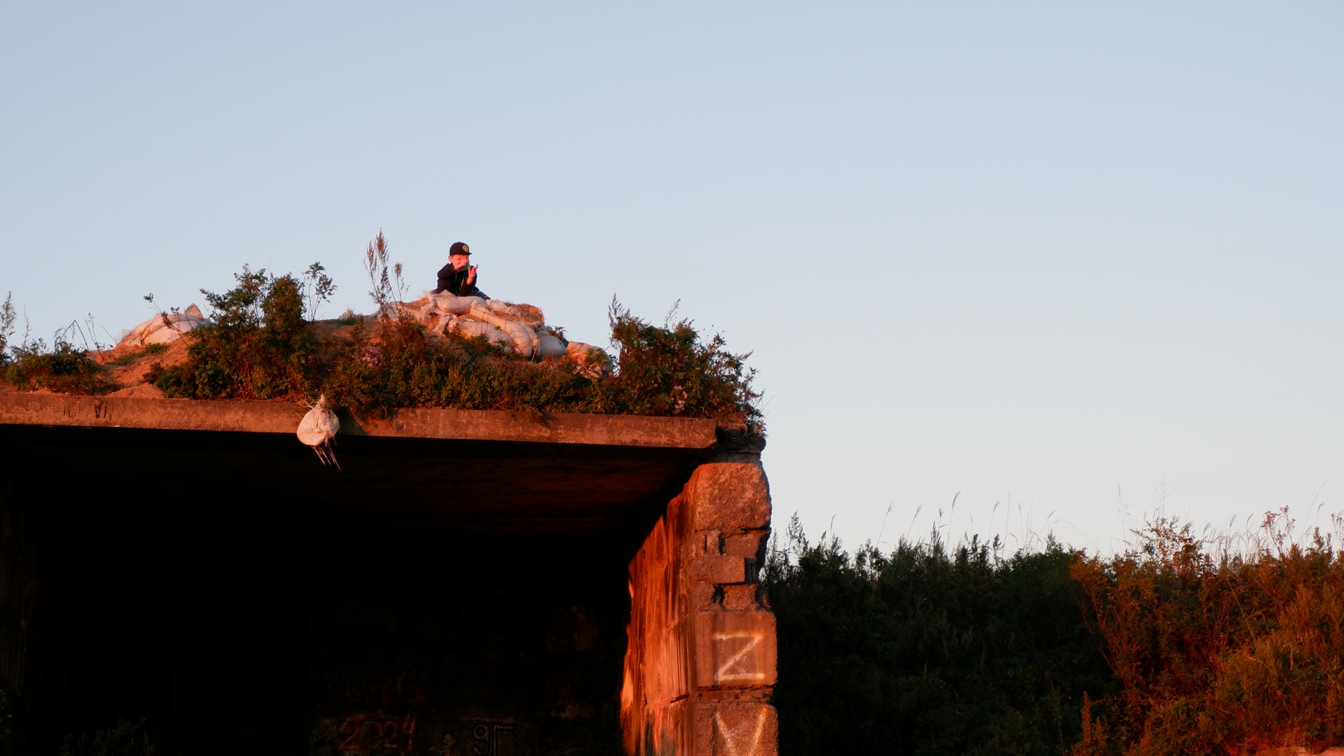 A person sits on the edge of a roof, with some plants nearby and a clear sky in the distance.