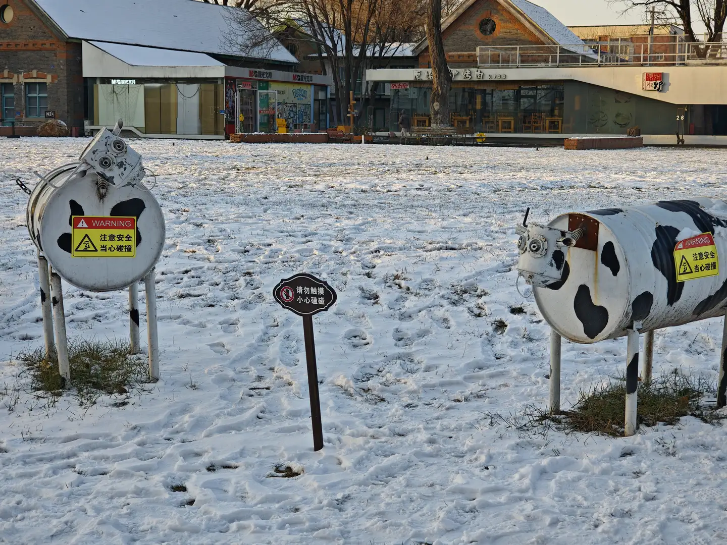Two cow sculptures made from barrels painted in a black and white pattern stand in a snowy park. Warning signs are visible, and buildings are in the background.